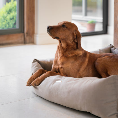 Box Bed With Removable Covers In Clay Velvet by Lords & Labradors