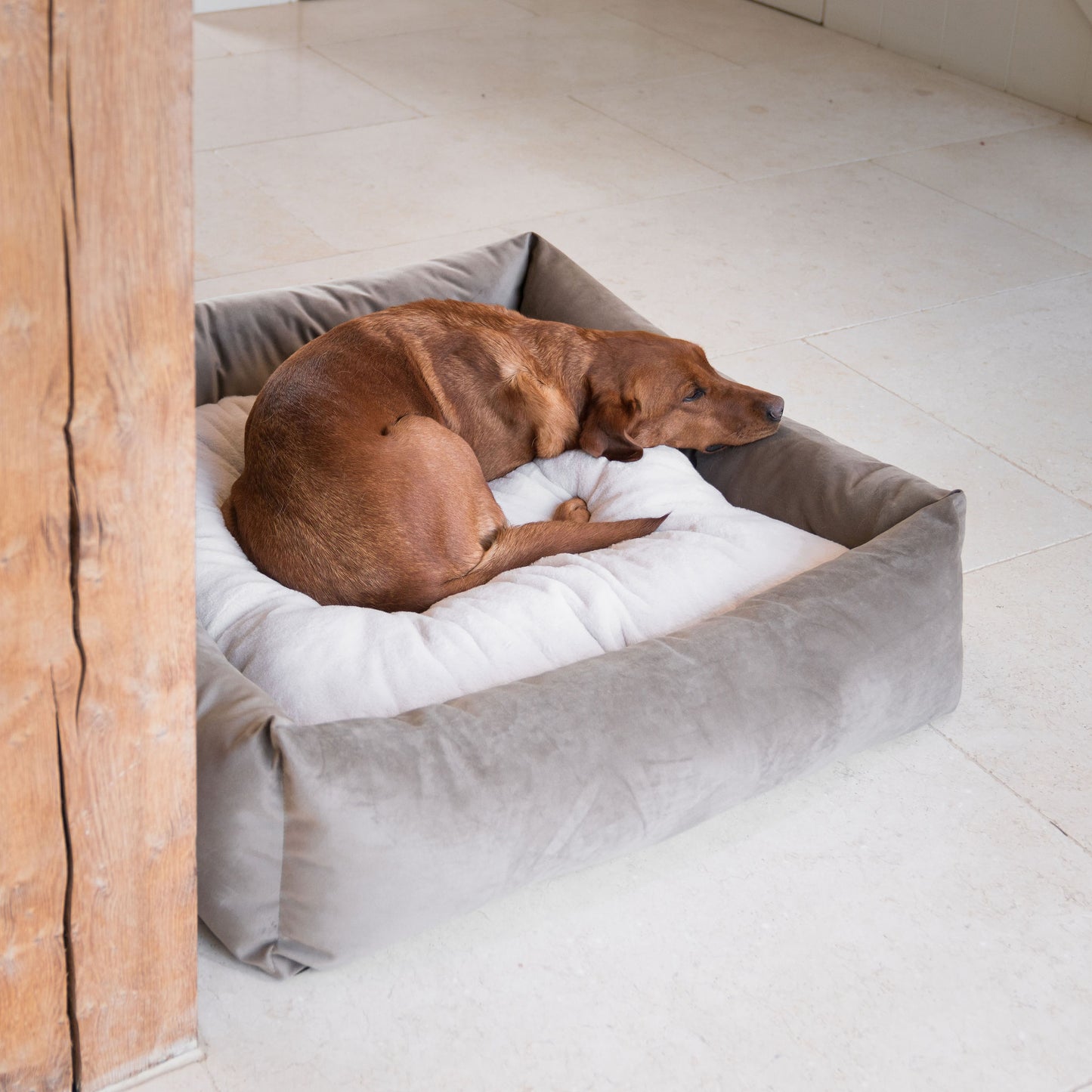 Box Bed With Removable Covers In Clay Velvet by Lords & Labradors