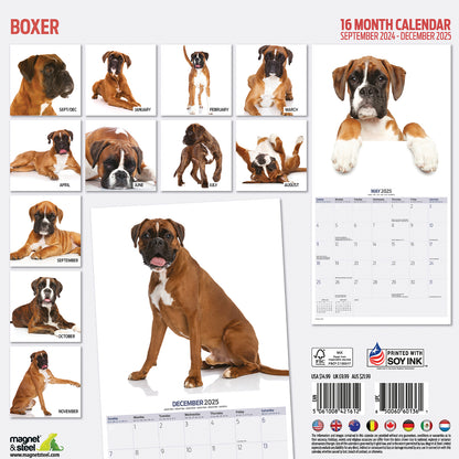 Boxer Modern Calendar 2025