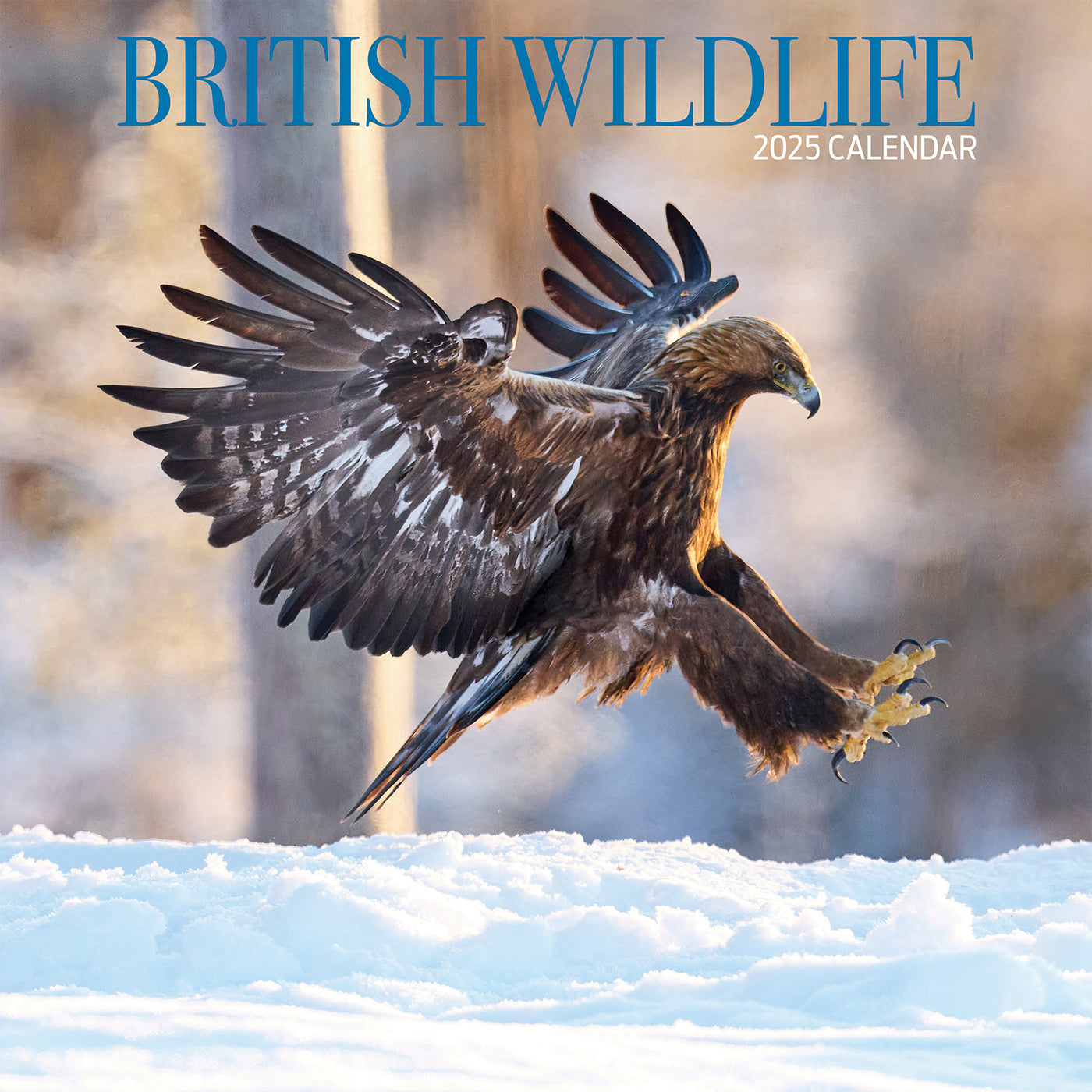 British Wildlife Traditional Calendar 2025