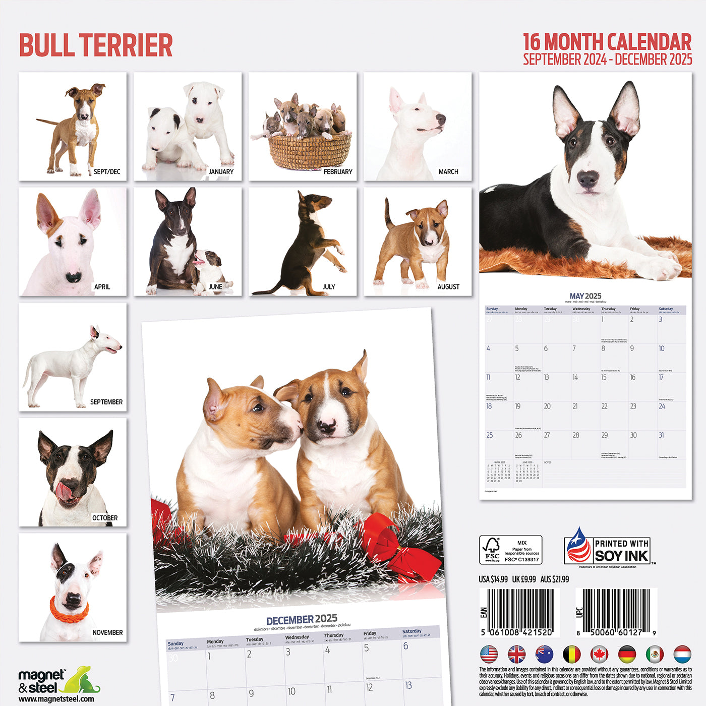 Bull Terrier Modern Calendar 2025