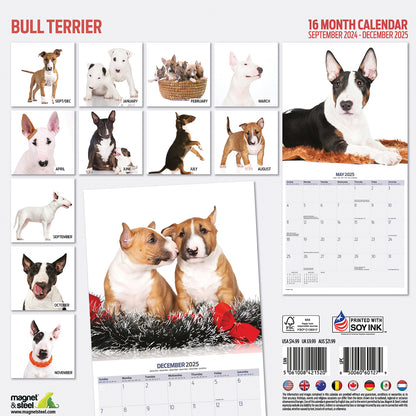 Bull Terrier Modern Calendar 2025