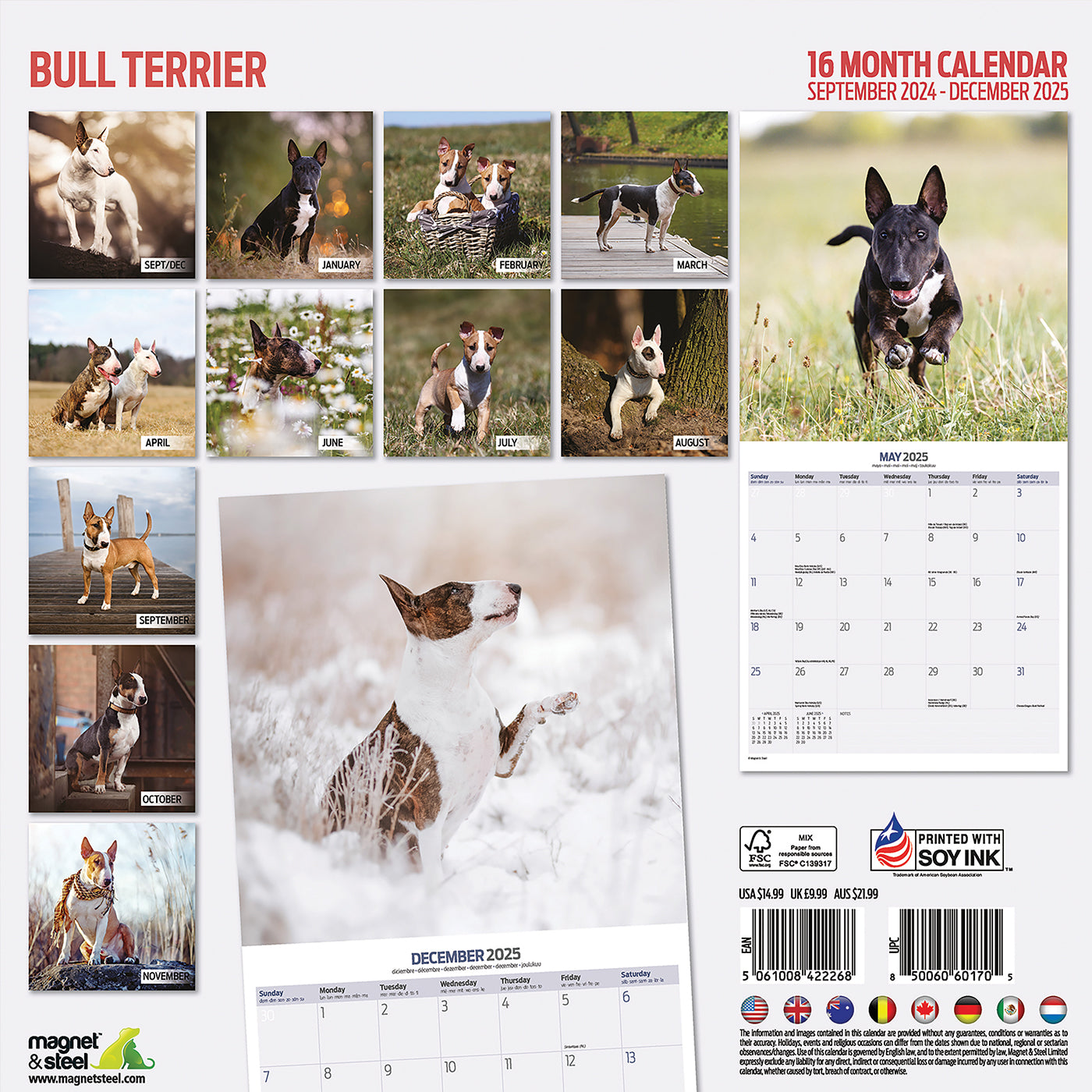 Bull Terrier Traditional Calendar 2025