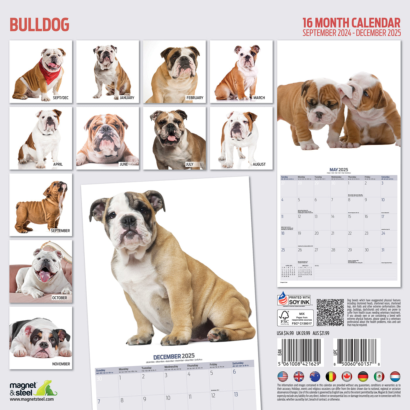 Bulldog Modern Calendar 2025