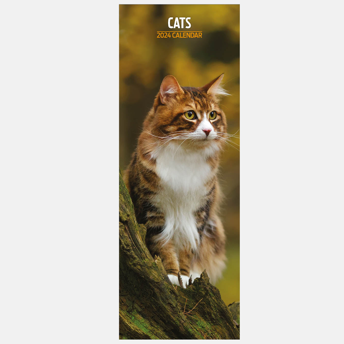 Cats 2024 Modern Calendar Gifting Lords Labradors   Cats2024SlimCalendar2 