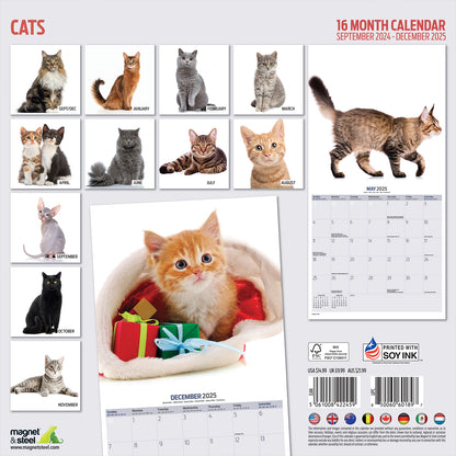 Cats Modern Calendar 2025