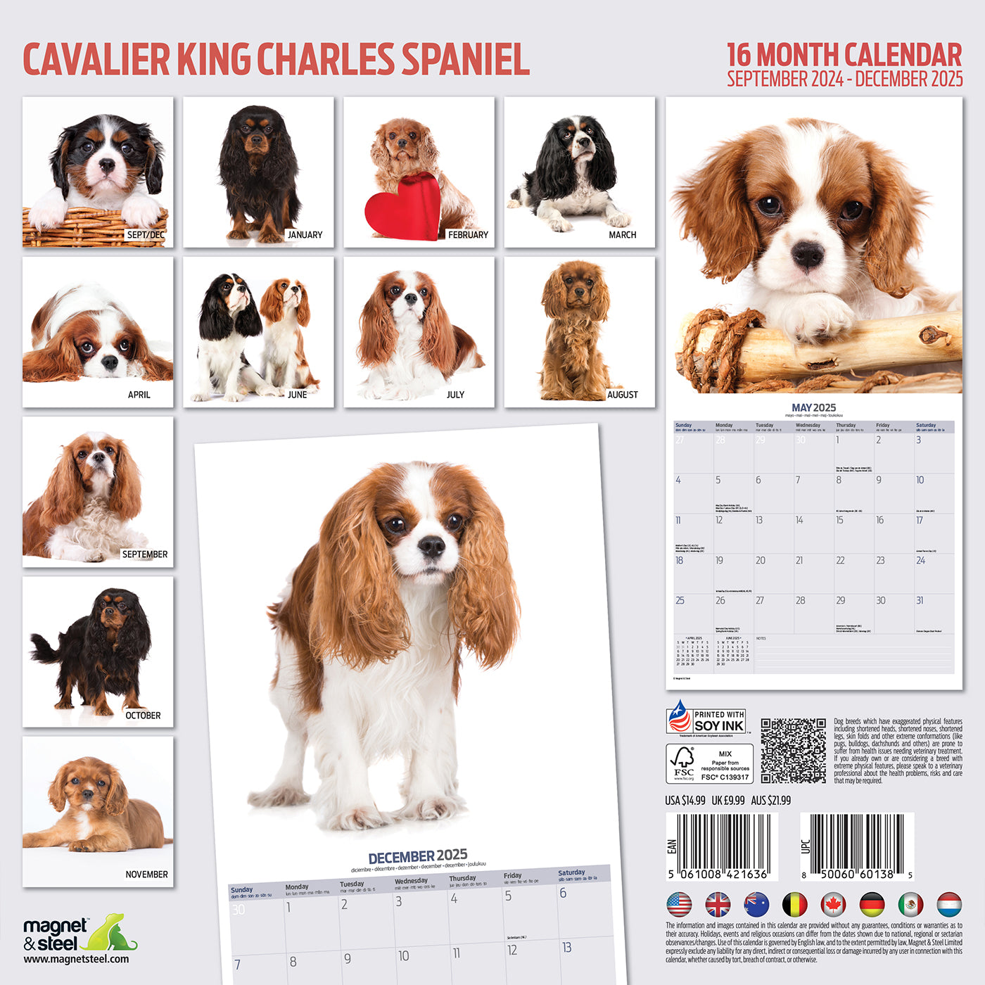 Cavalier King Charles Spaniel Modern Calendar 2025