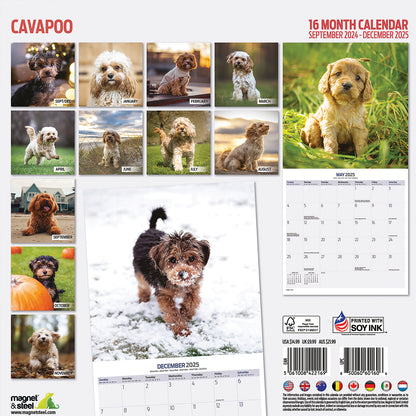 Cavapoo Traditional Calendar 2025