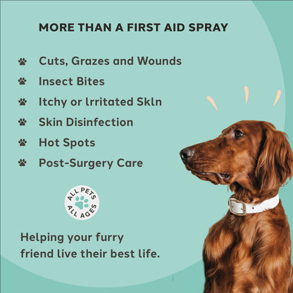 Charlie the Vet Wound & Skin Care Spray