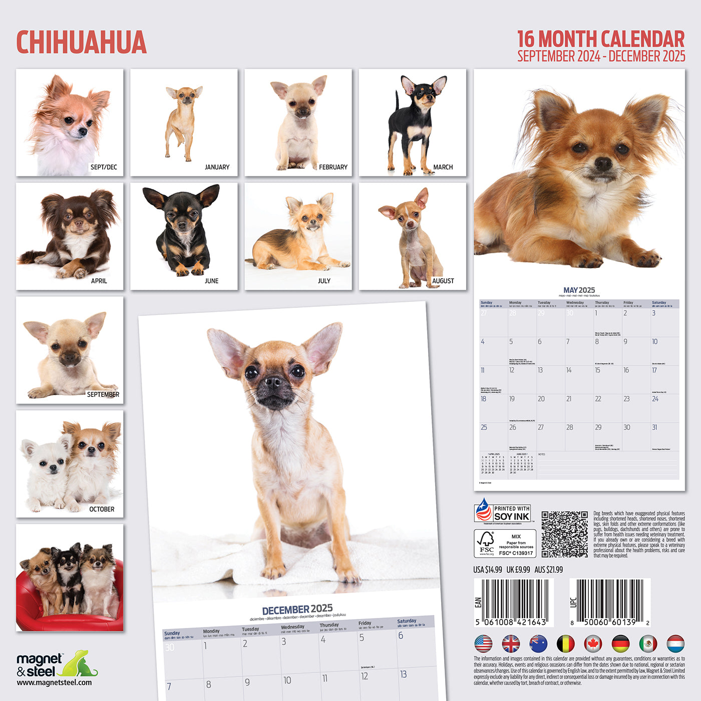 Chihuahua Modern Calendar 2025