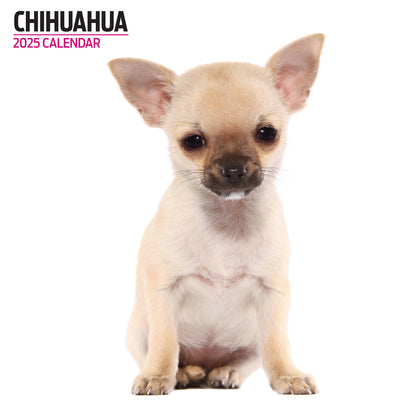 Chihuahua Modern Calendar 2025