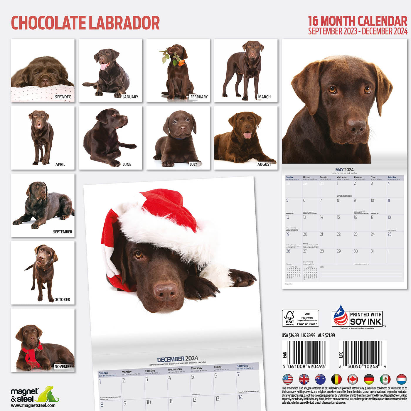 Chocolate Labrador 2024 Modern Calendar Gifting Lords Labradors   ChocolateLabradorModernCalendar2024 