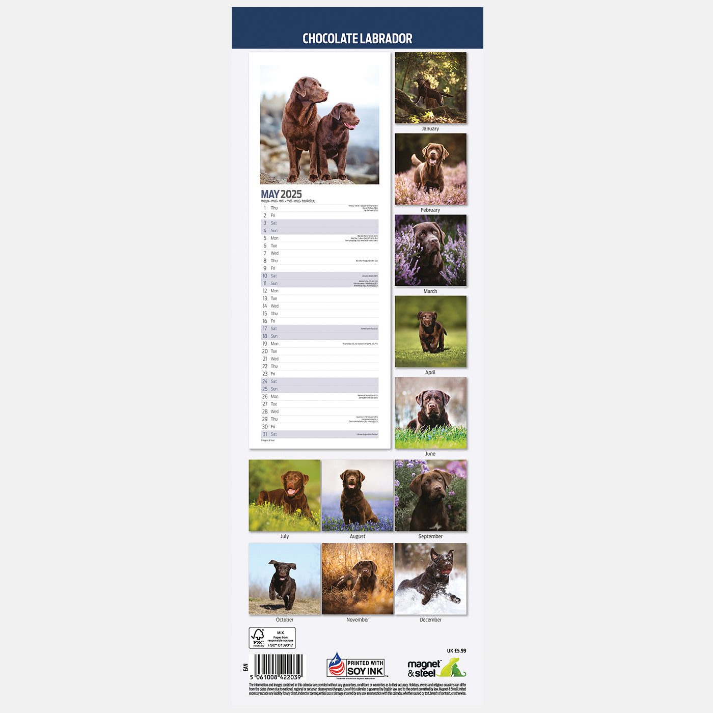 Labrador Chocolate Slim Calendar 2025 Lords & Labradors