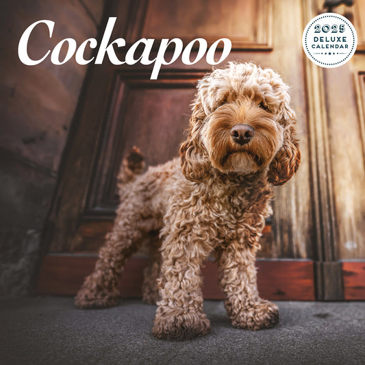 Cockapoo Deluxe Calendar 2025