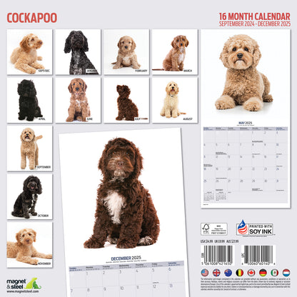 Cockapoo Modern Calendar 2025