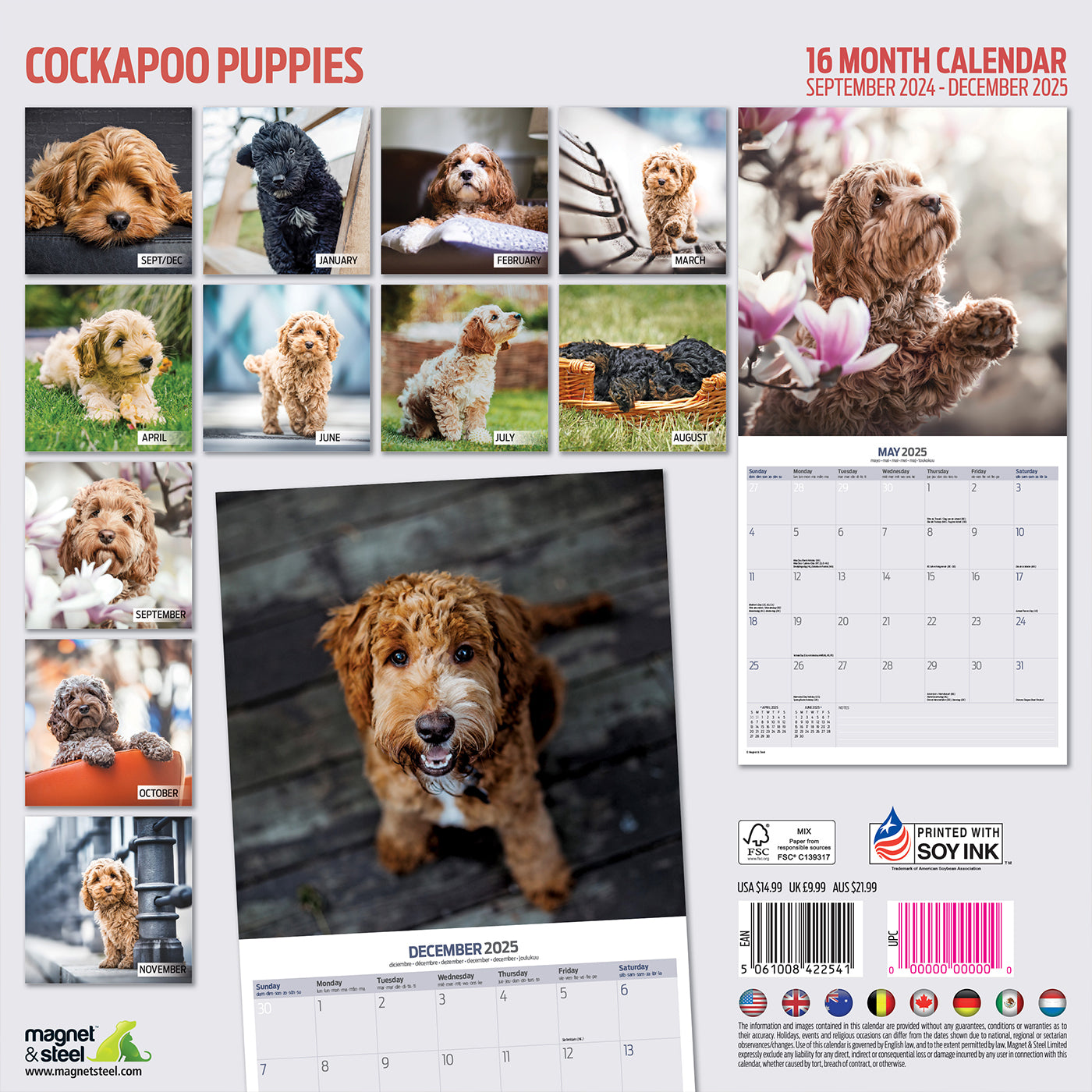 Cockapoo Puppies Traditional Calendar 2025