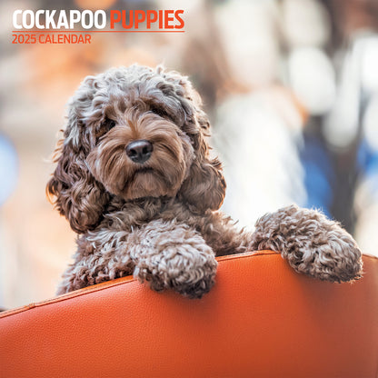 Cockapoo Puppies Traditional Calendar 2025