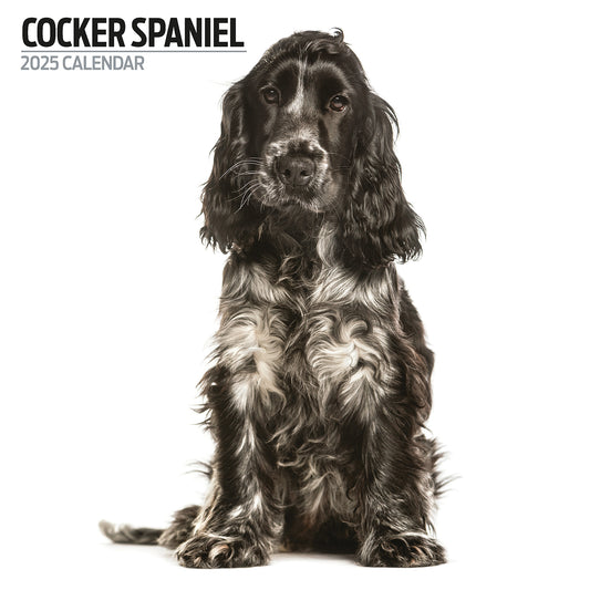 Cocker Spaniel Modern Calendar 2025