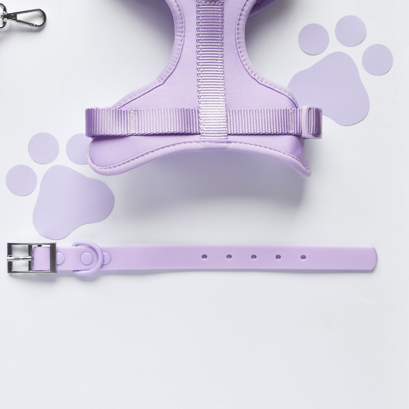 Cocopup London Parma Violets NAKD Dog Collar