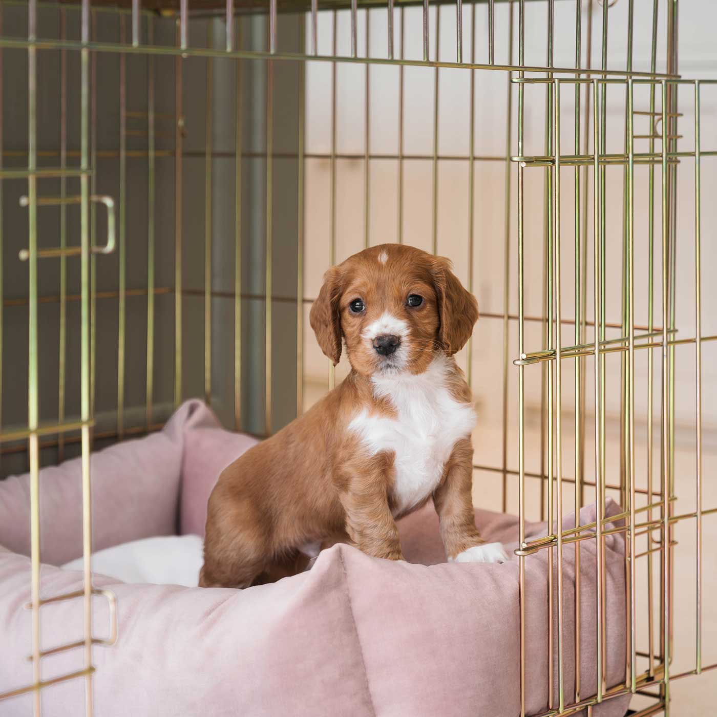 Cosy & Calming Puppy Crate Bed With Removable Covers In Blossom Velvet by Lords & Labradors