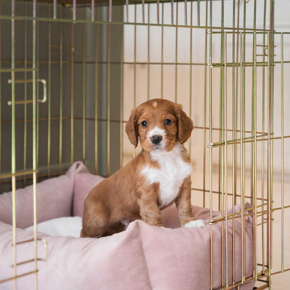 Cosy & Calming Puppy Crate Bed With Removable Covers In Blossom Velvet by Lords & Labradors