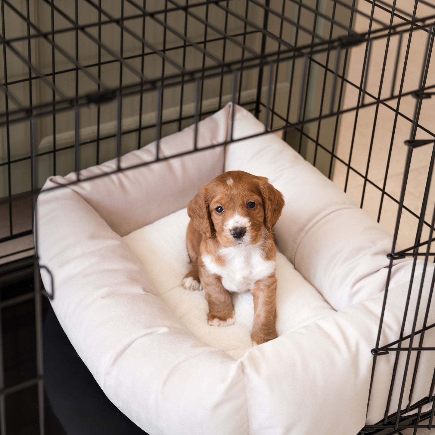 Cosy & Calming Puppy Crate Bed With Removable Covers In Oyster Velvet by Lords & Labradors