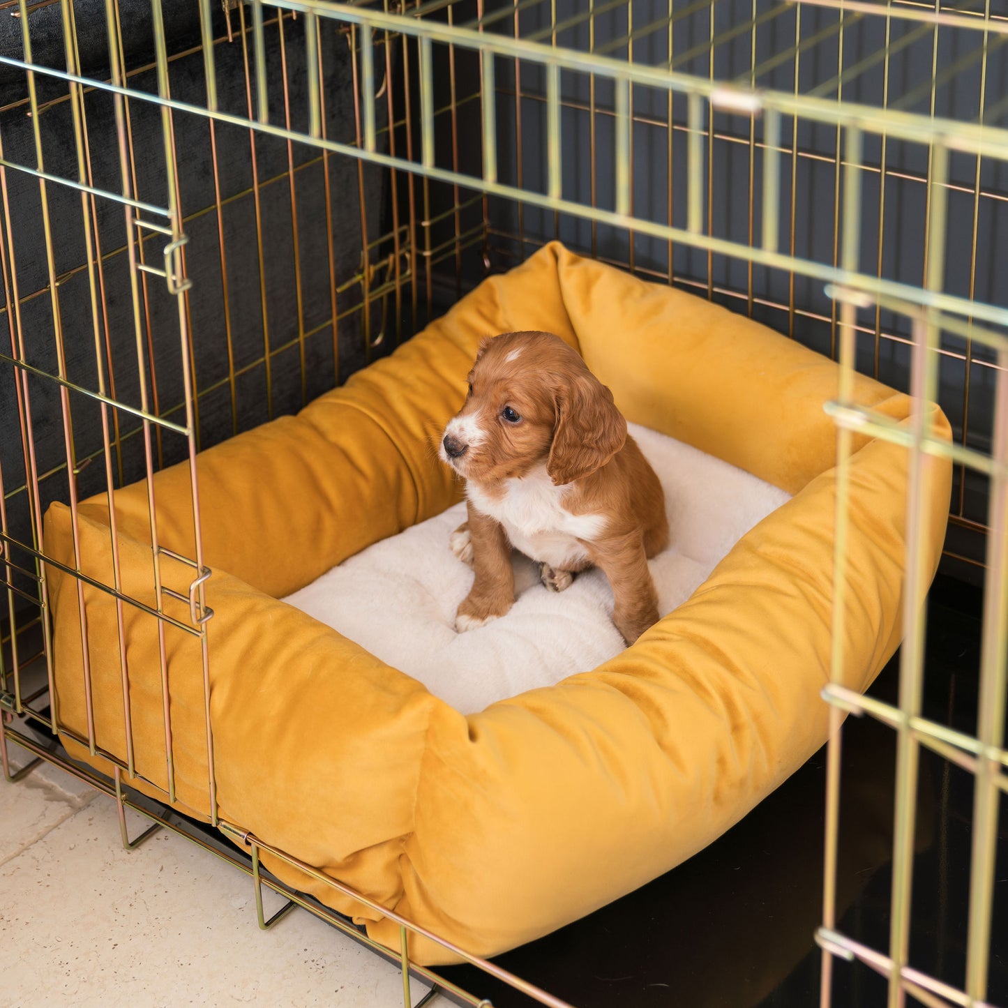 Cosy & Calming Puppy Crate Bed With Removable Covers In Saffron Velvet by Lords & Labradors