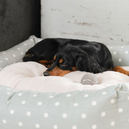 Box Bed For Dogs in Duck Egg Spot by Lords & Labradors