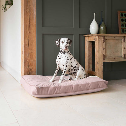 Dog Cushion in Blossom Velvet by Lords & Labradors