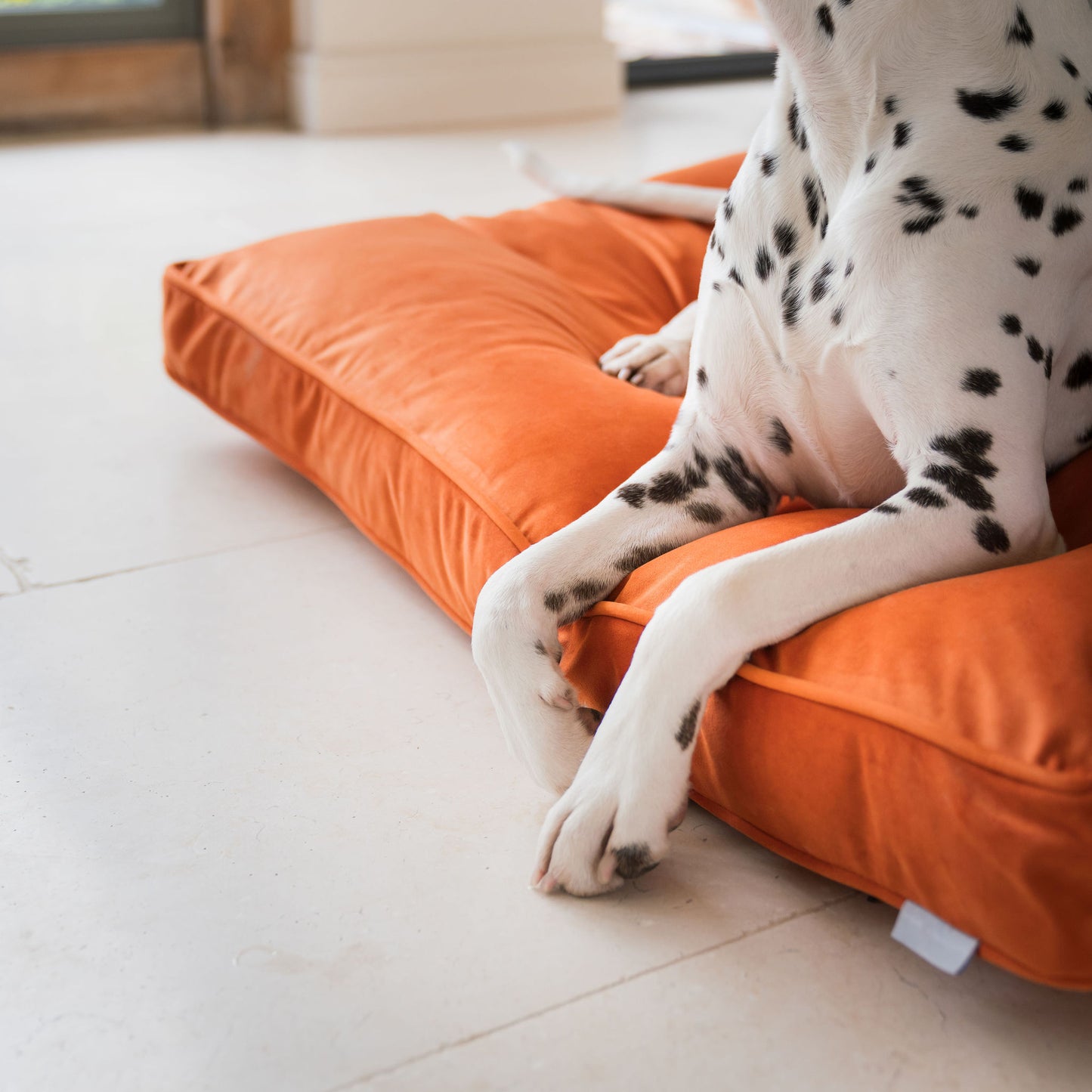 Dog Cushion in Pumpkin Velvet by Lords & Labradors