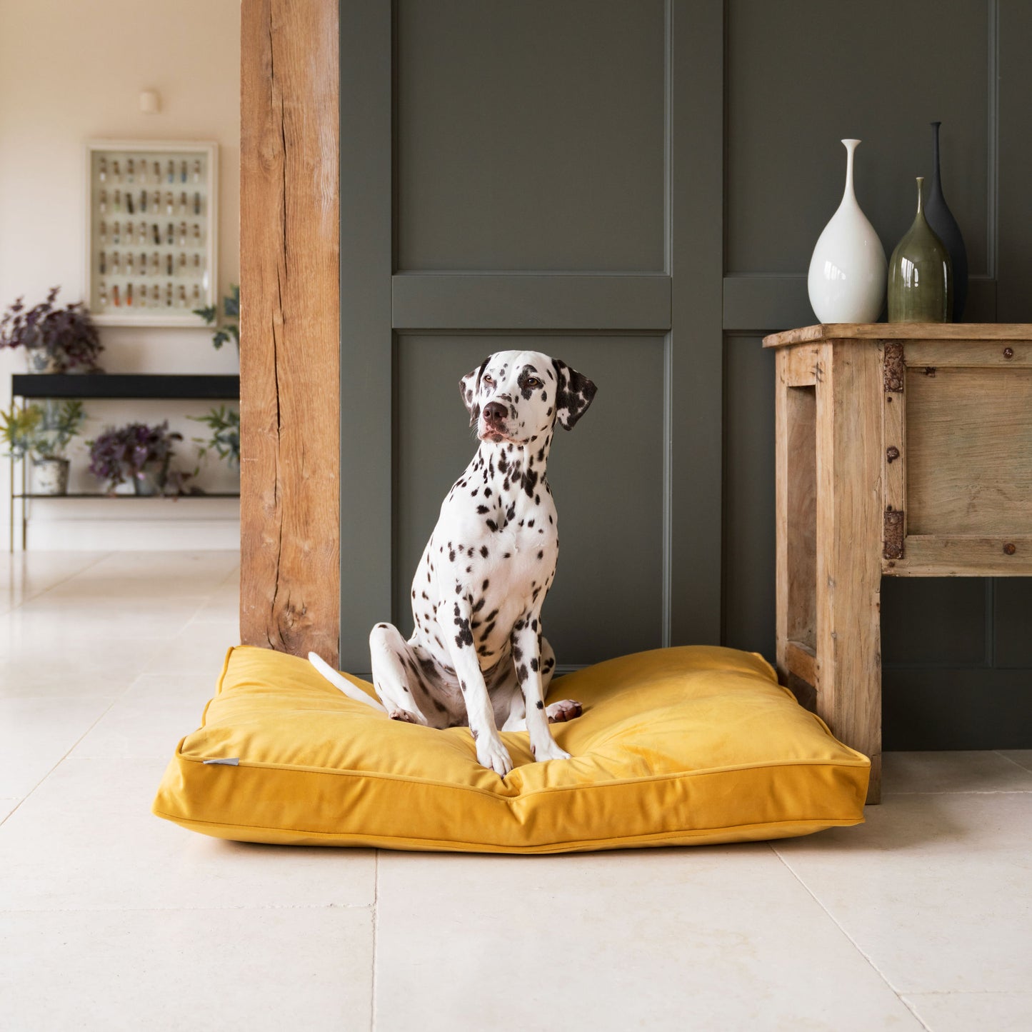 Dog Cushion in Saffron Velvet by Lords & Labradors