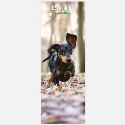 Dachshund Slim Calendar 2025