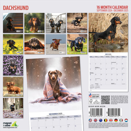 Dachshund Traditional Calendar 2025