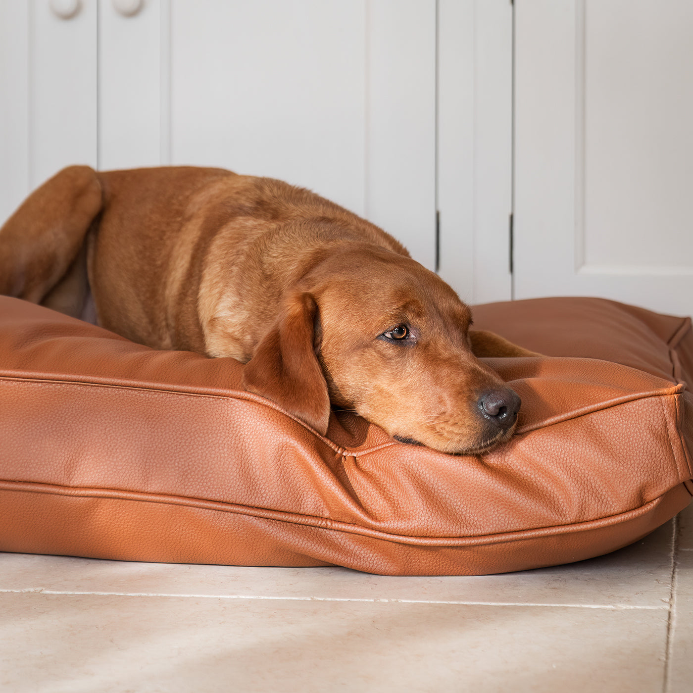 Dog Cushion in Rhino Tough Ember Faux Leather by Lords & Labradors