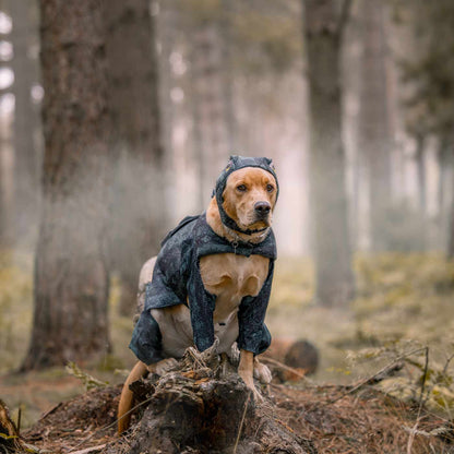 Stegosaurus Dog Costume