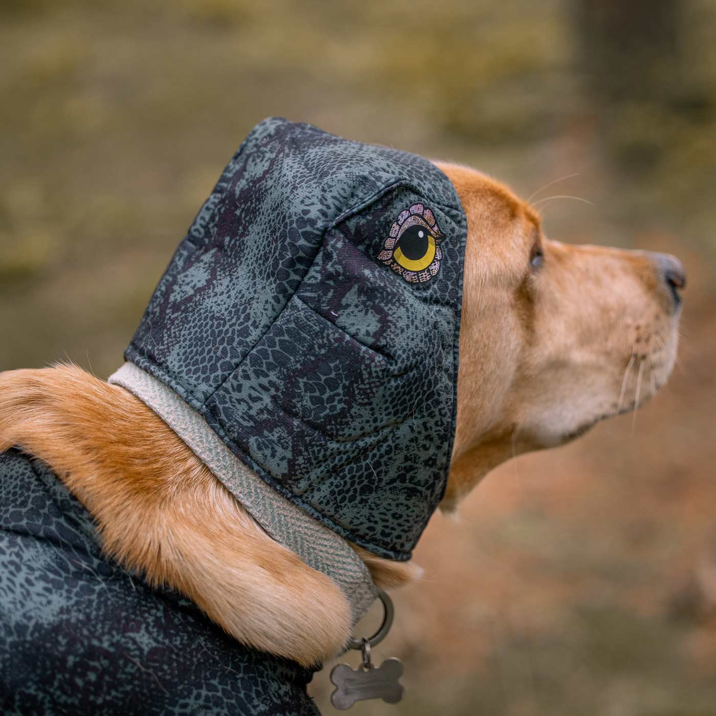 Costume store dog collar