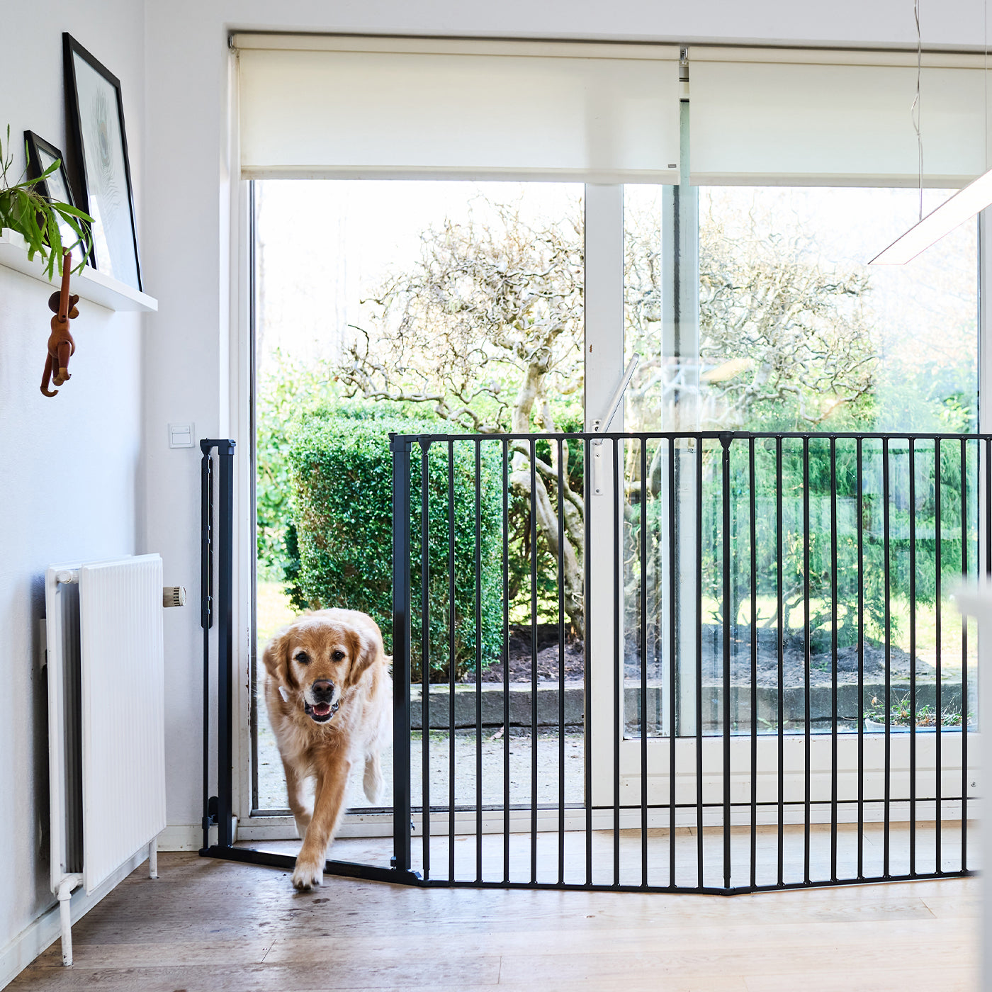 Dog hot sale door extension