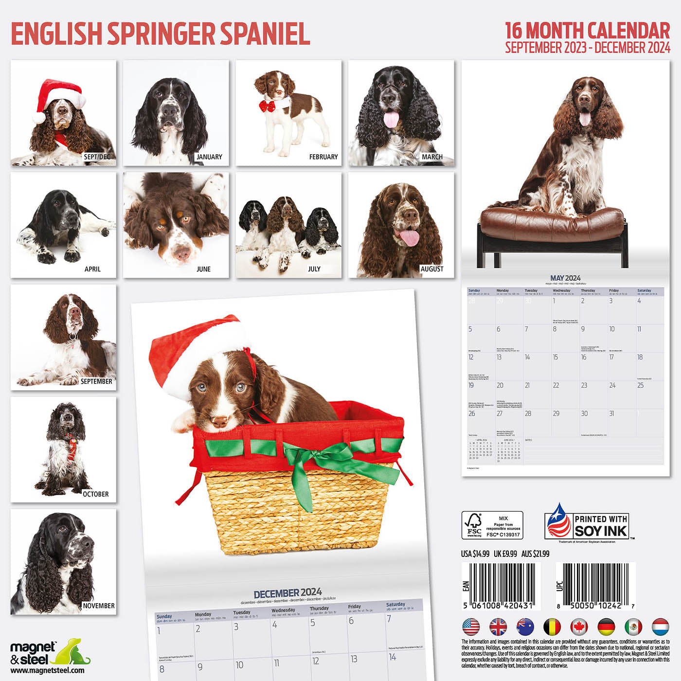 Royal canin springer clearance spaniel