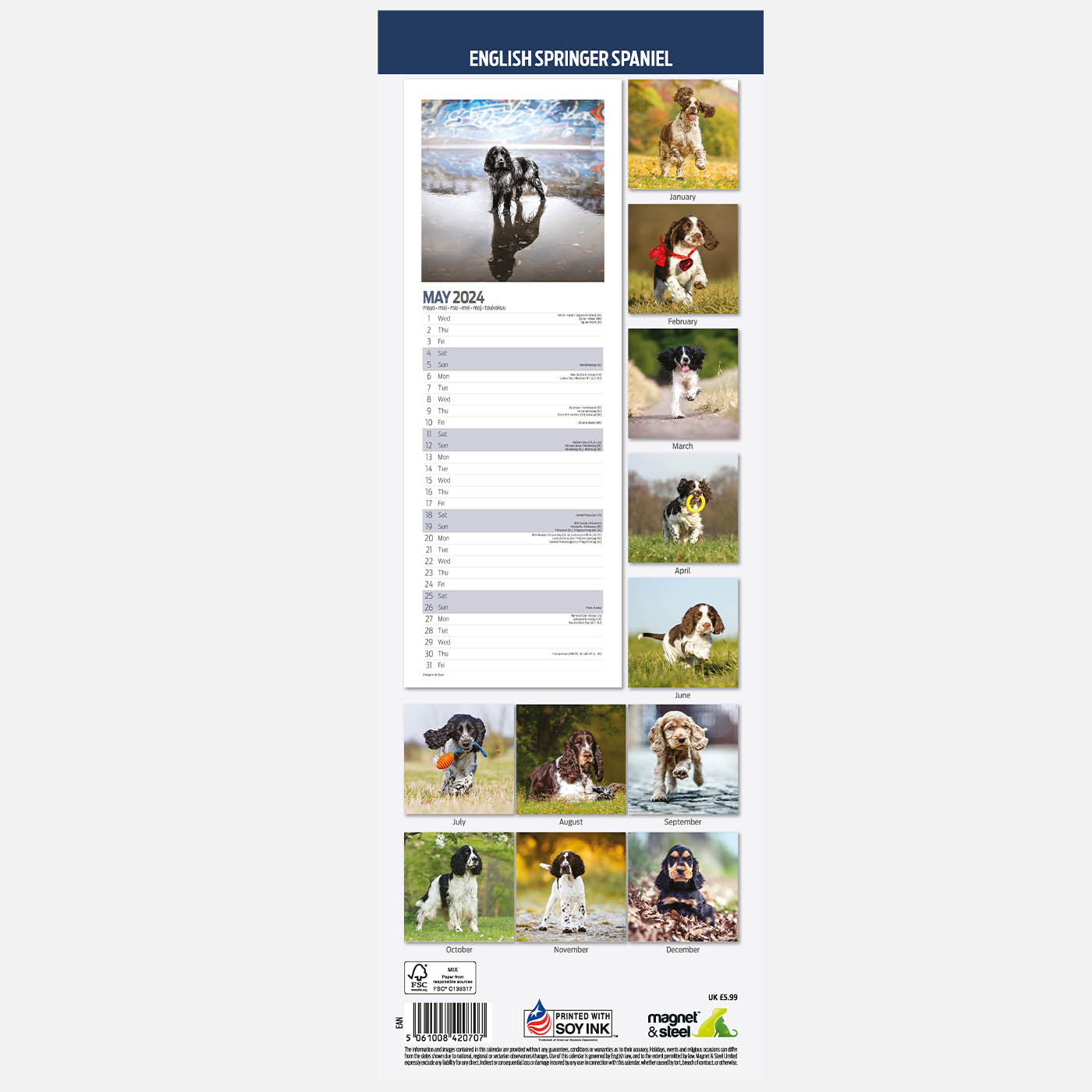 English Springer Spaniel 2024 Slim Calendar Gifting Lords Labradors   EnglishSpringerSpaniel2024SlimCalendar 