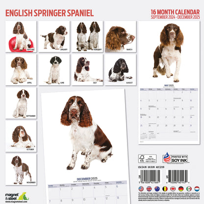 English Springer Spaniel Modern Calendar 2025