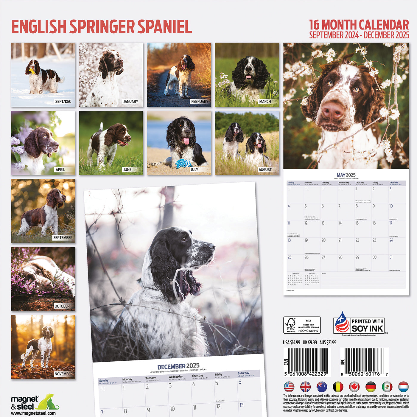 English Springer Spaniel Traditional Calendar 2025