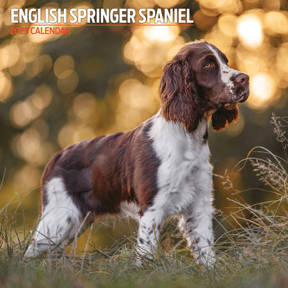 English Springer Spaniel Traditional Calendar 2025