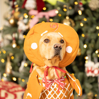 Christmas Gingerbread Pup Fancy Dress Costume