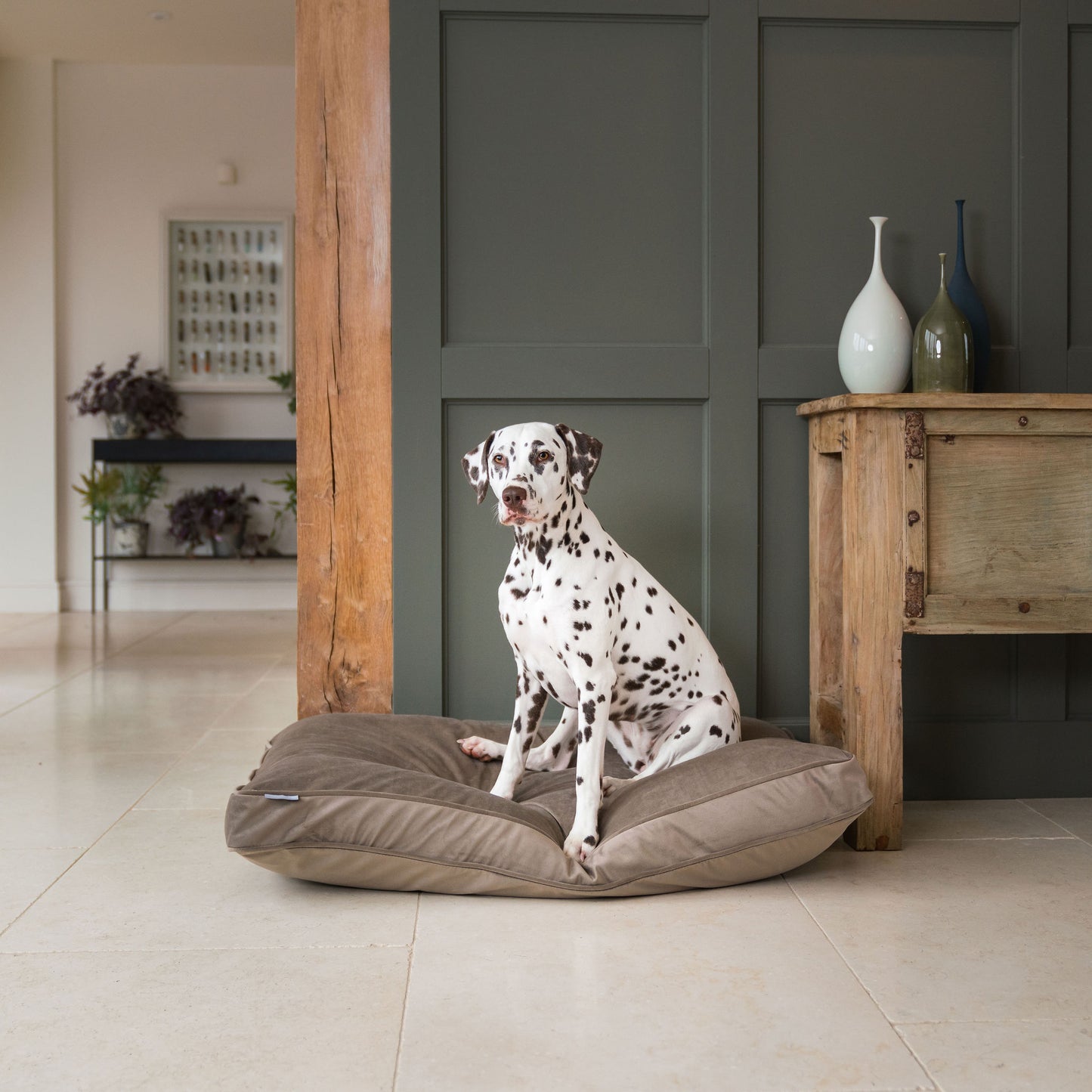 Dog Cushion in Clay Velvet by Lords & Labradors