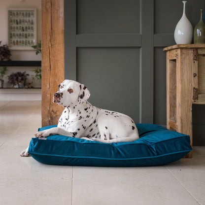 Dog Cushion in Marine Velvet by Lords & Labradors
