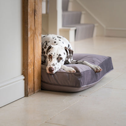 Dog Cushion in Silt Velvet by Lords & Labradors