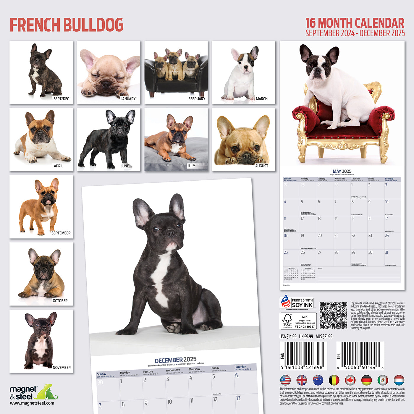 French Bulldog Modern Calendar 2025