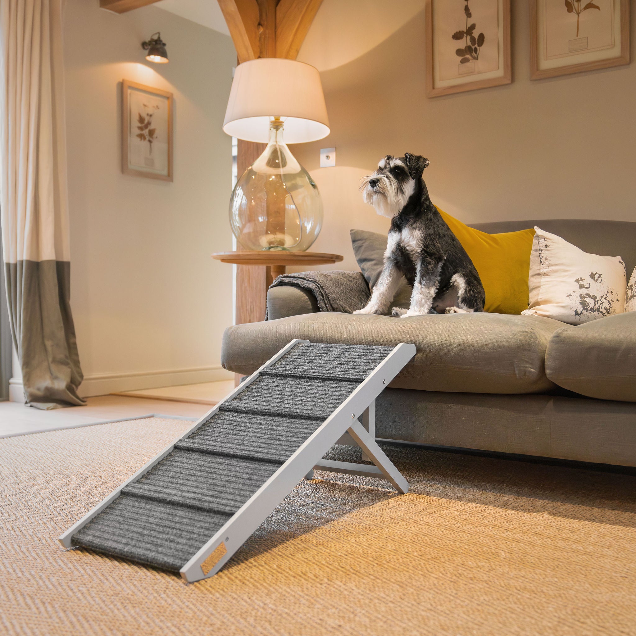 Dog ramp deals for couch