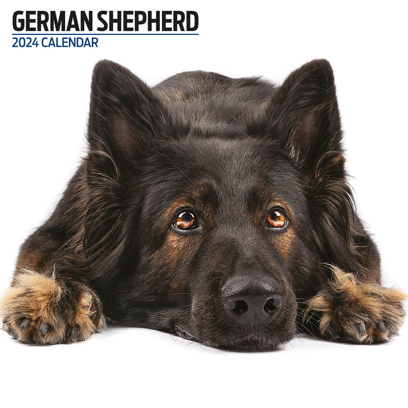 German Shepherd 2024 Modern Calendar Gifting Lords & Labradors