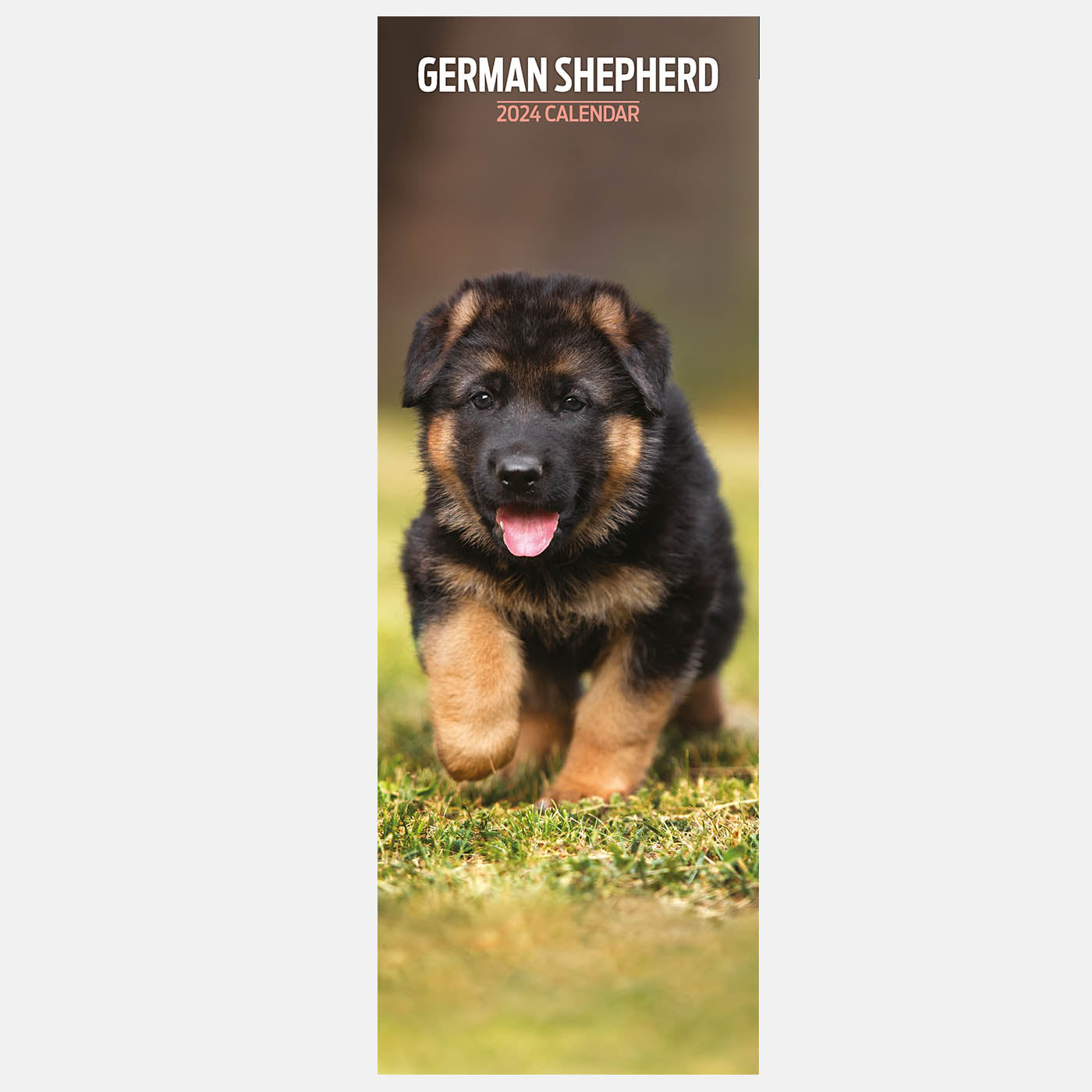 German Shepherd 2024 Slim Calendar Gifting Lords & Labradors